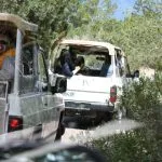 Safari in jeep