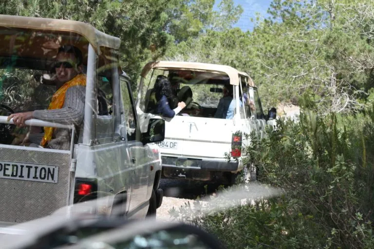 Safari in jeep