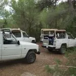 Safari in jeep