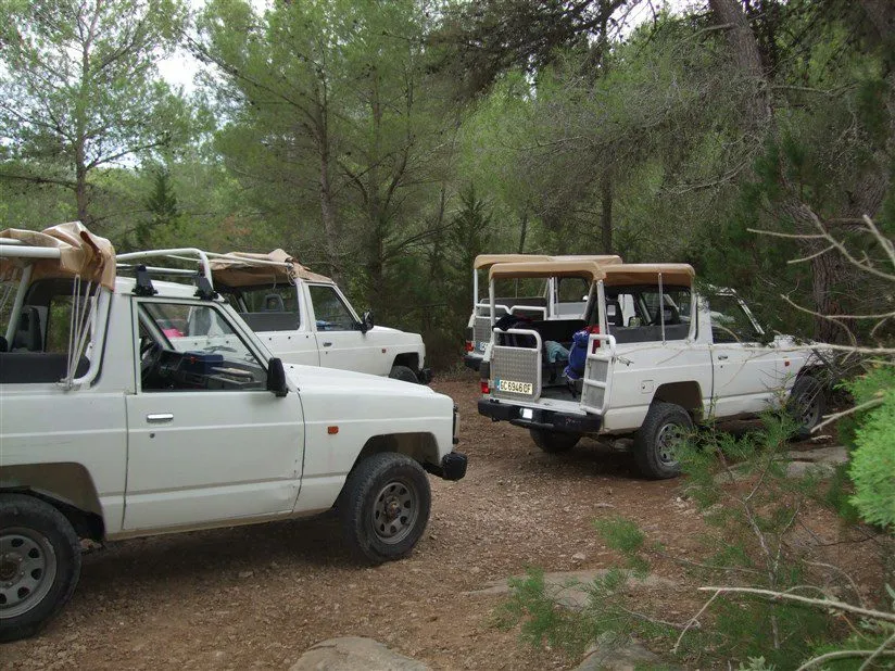 Safari in jeep