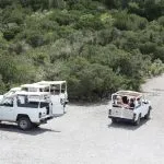 Safari in jeep