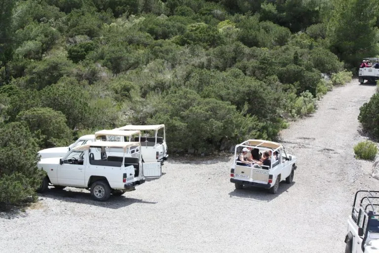 Safari in jeep