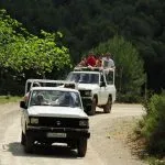 Safari in jeep