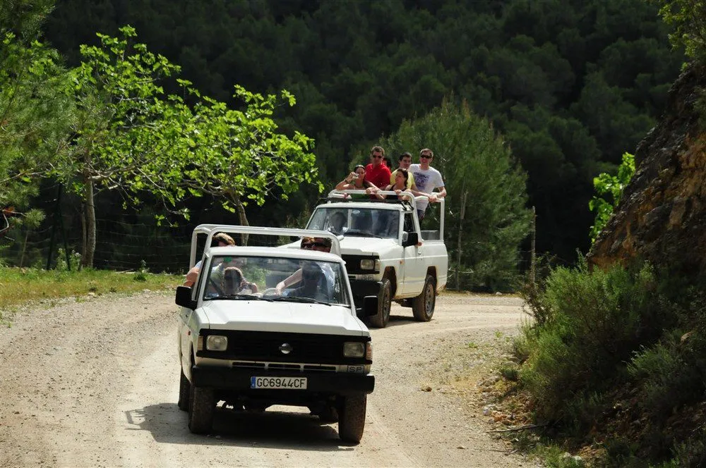 Safari in jeep