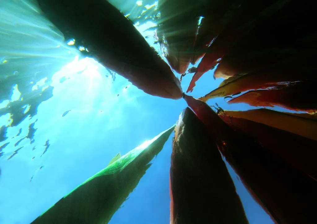 Kayak e snorkeling